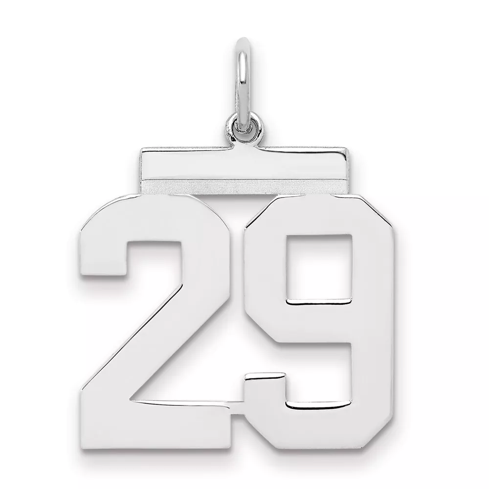 Sterling Silver/Rhodium-plated Polished Number 29 Charm